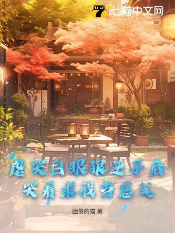 hp 哈利