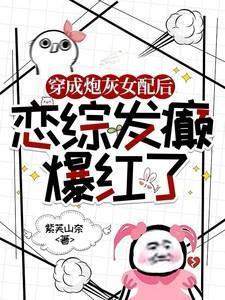 概念爱情完整版