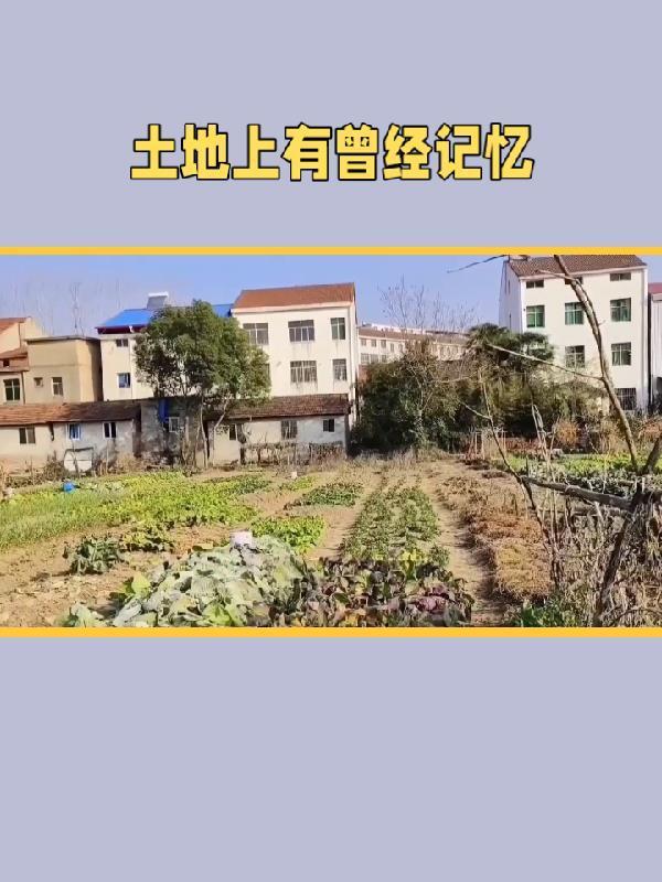 巨星手记txt资源