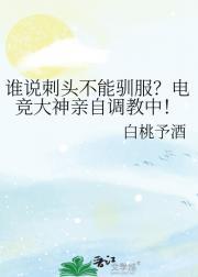 明末风云汉王重征天下笔趣阁