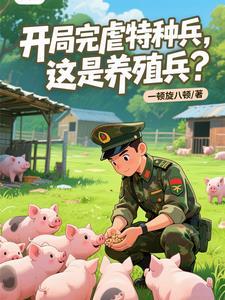 七零军少