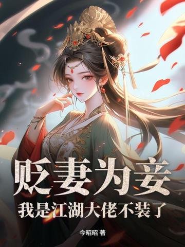 覆面十三刀讲了什么