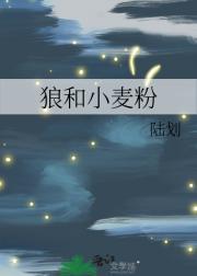 我的男人是丘比特