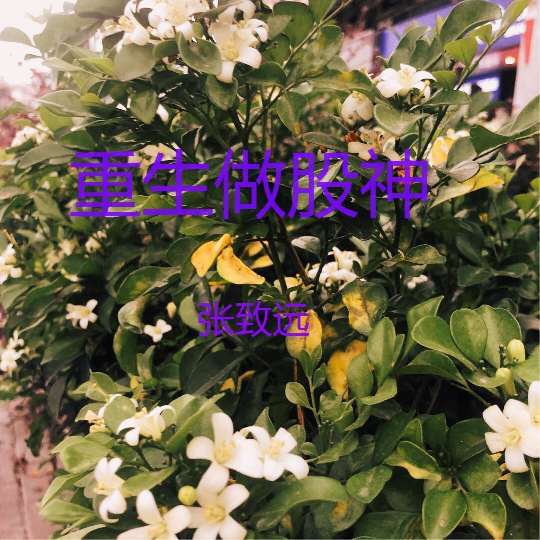 女主叫靳月的