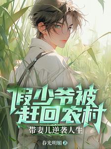 折翼天使之城1