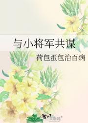 与小将军共谋