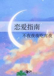 恋爱指南