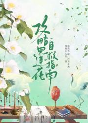 衣香鬓影三部曲讲了什么