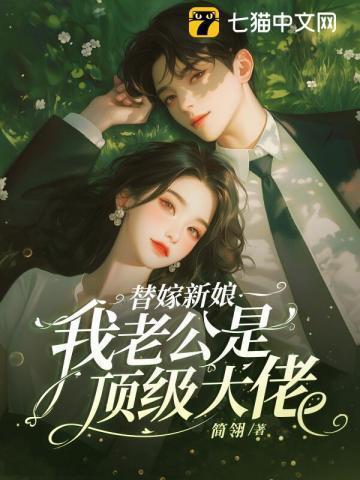 我本边关一小卒TXT