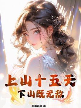 将军嫁到2