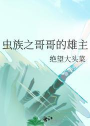 海豚 不怕