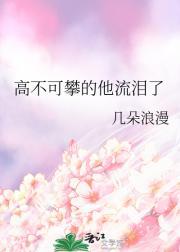 伙伴的拼音