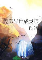 伙伴的意思