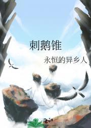 刺鹅锥