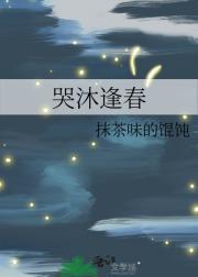 因为爱情歌词完整版