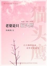 太夫人她只想摆烂最新章节列表