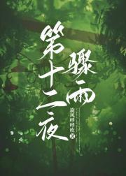 第十二夜骤雨