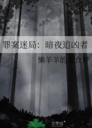 罪案迷局：暗夜追凶者