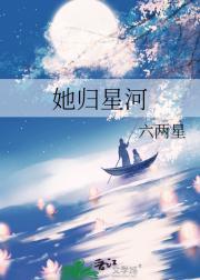 她归星河