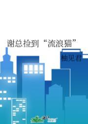 热病事件 禅宗