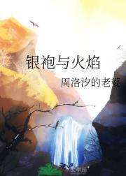 银袍与火焰