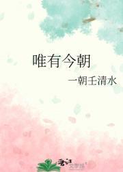 杨九郎个人资料简介