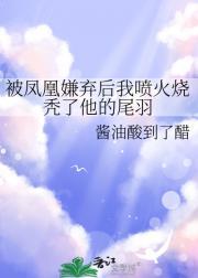 勿扰飞升讲了什么