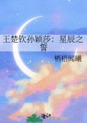 荒野双狼免费完整版