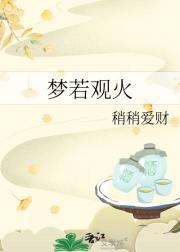 为伊书尽烽烟事讲的什么