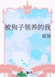 绝世小神医秦小飞