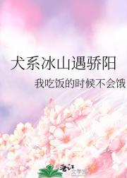 兄弟复仇者的条件是什么 用英文怎么说