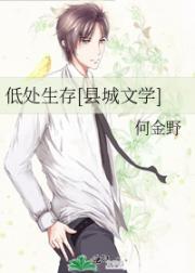 低处生存[县城文学]