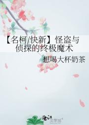 【名柯快新】怪盗与侦探的终极魔术