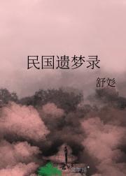 民国遗梦录