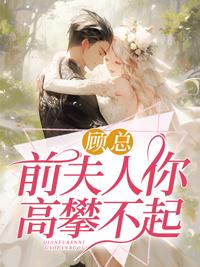 顾总,前夫人你高攀不起