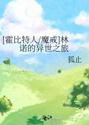 [霍比特人魔戒]林诺的异世之旅
