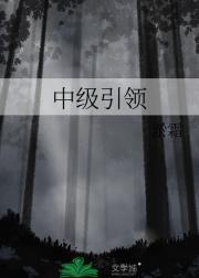 中级引领