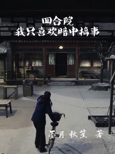 四合院：我只喜欢暗中搞事