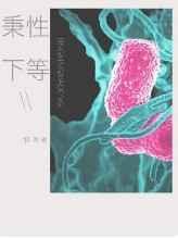 豺狼虎豹是什么生肖