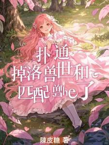 深夜食堂黄磊版演员表