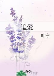 追爱