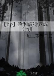 【hp】哈利波特养成计划